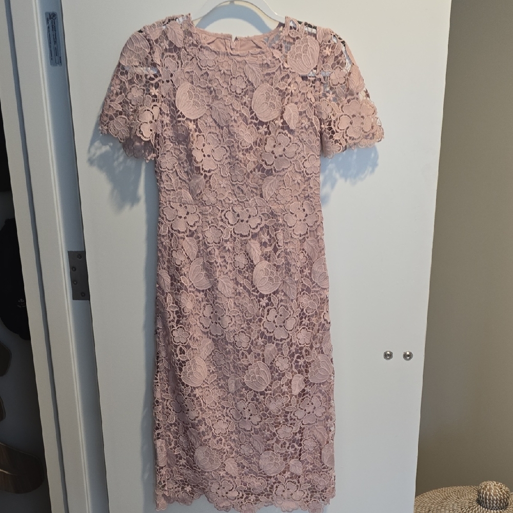 Eliza J Blush Lace Midi Dress